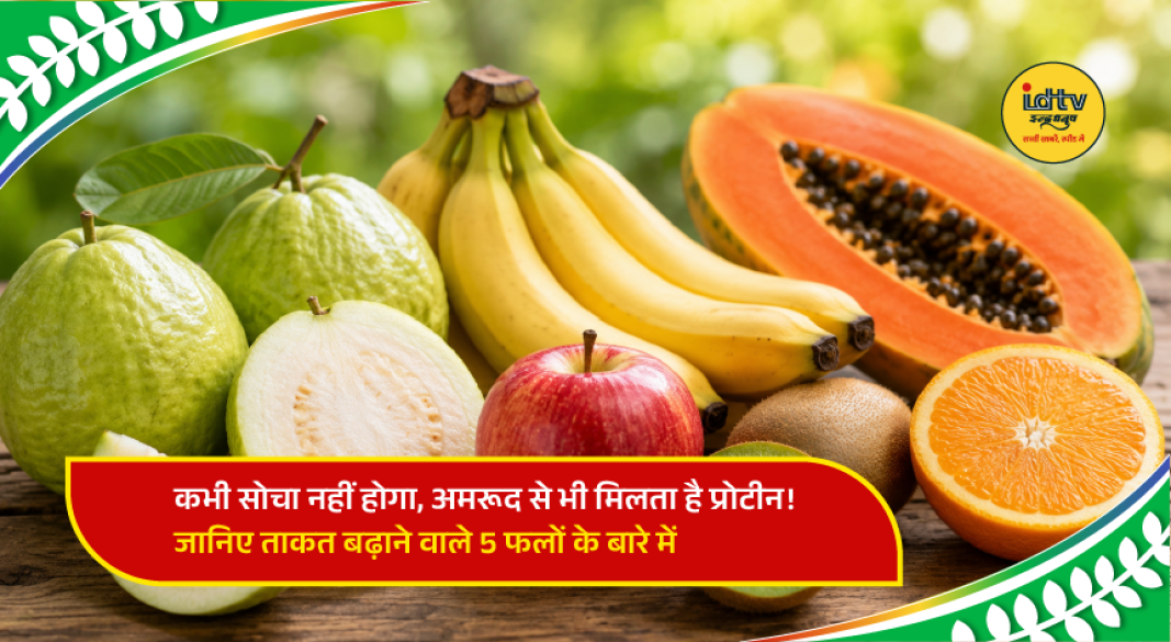 Fresh guava, avocado, jackfruit, blackberries and apricots displayed as healthy fruits rich in nutrients and protein.