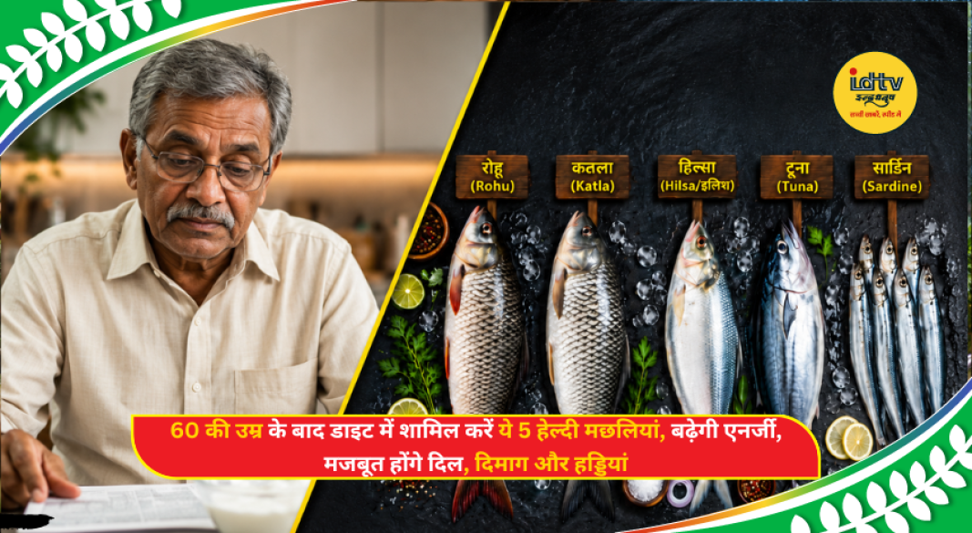 Fresh Rohu, Katla, Hilsa, Tuna and Sardine fish displayed as healthy protein choices for senior citizens.