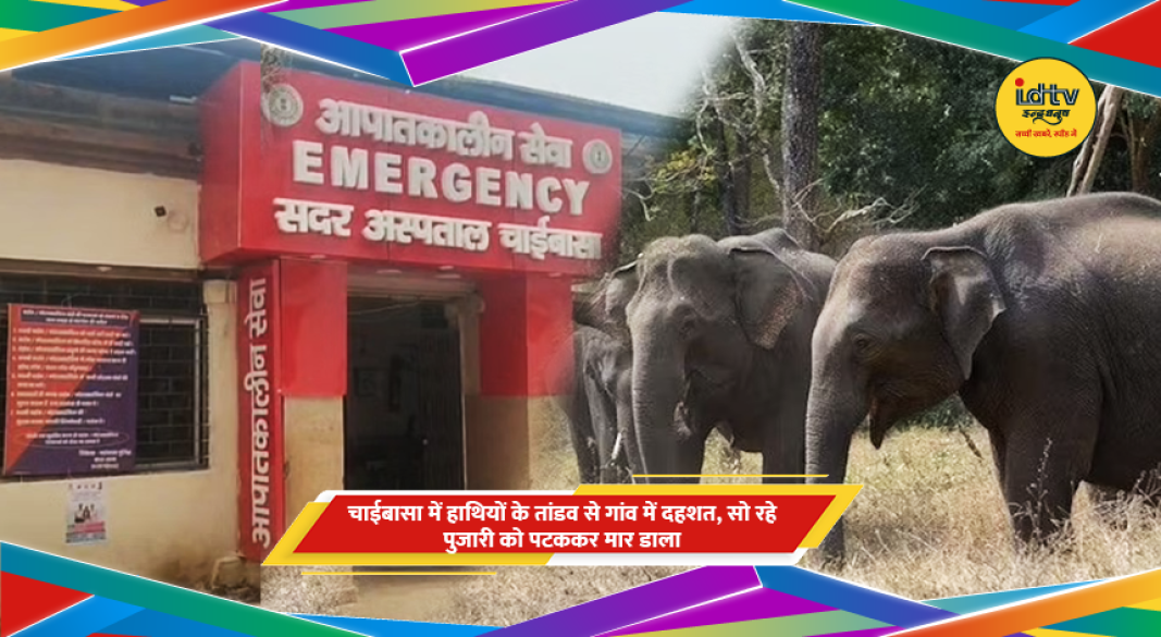 गांव में जंगली हाथी का हमला और लोगों में दहशत का माहौल