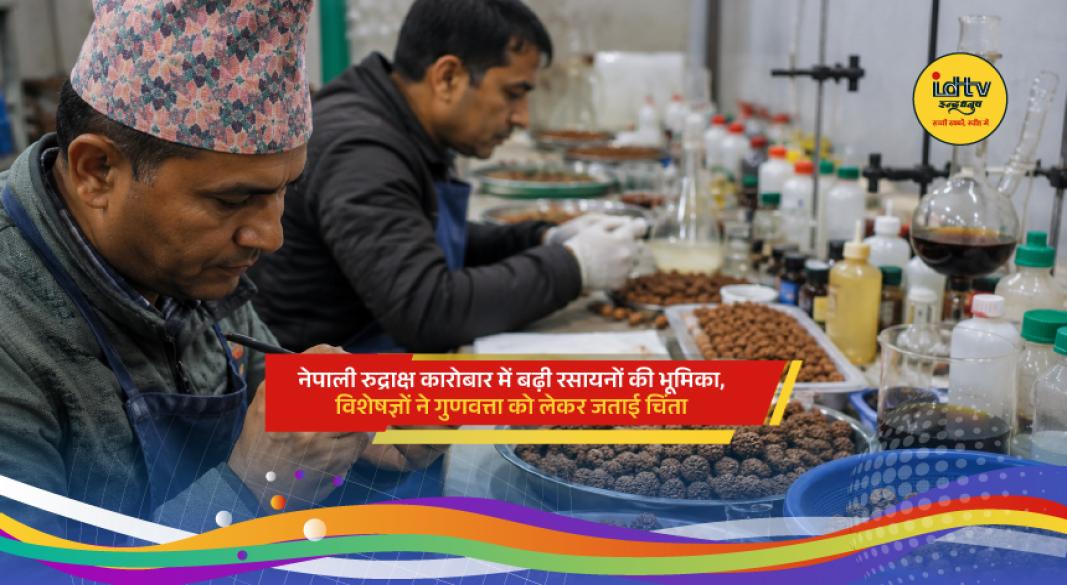 Rudraksha beads from Nepal as rising global demand sparks concerns over chemical use.