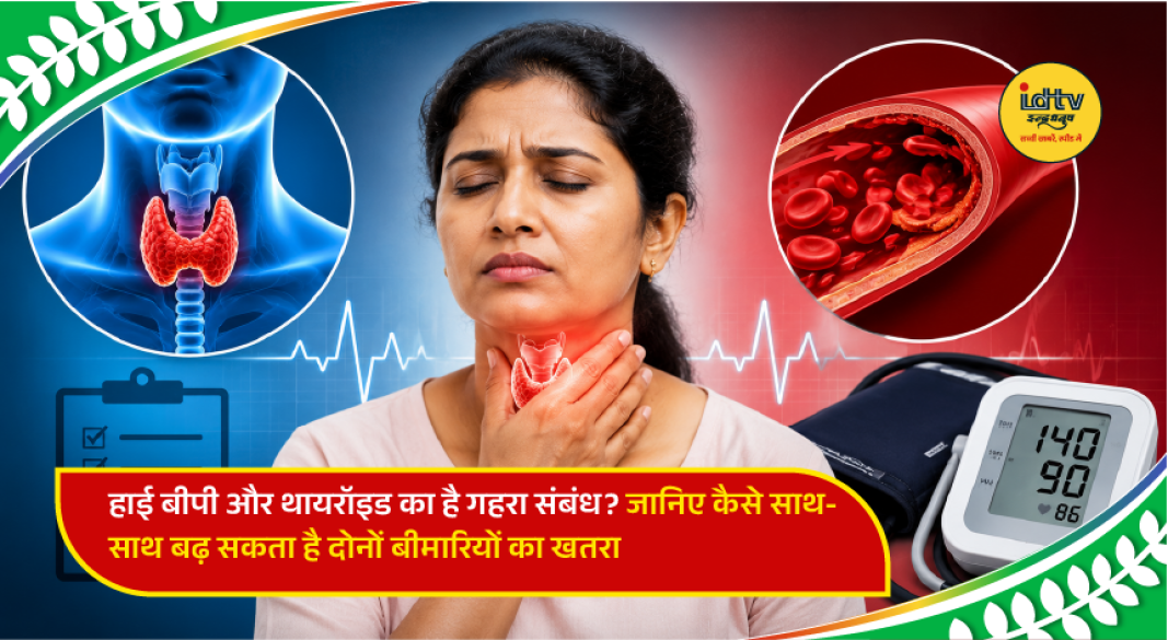 Doctor explaining the link between thyroid disorders and high blood pressure with medical charts.