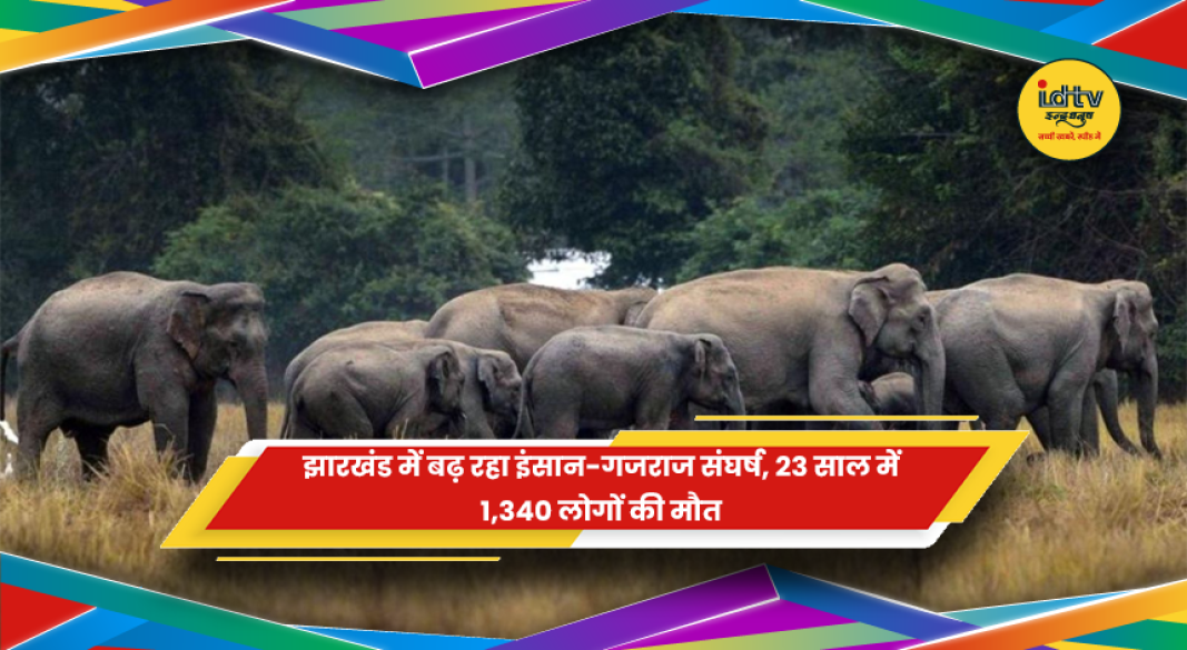 झारखंड में मानव-हाथी संघर्ष और गांवों में पहुंचे हाथियों का झुंड