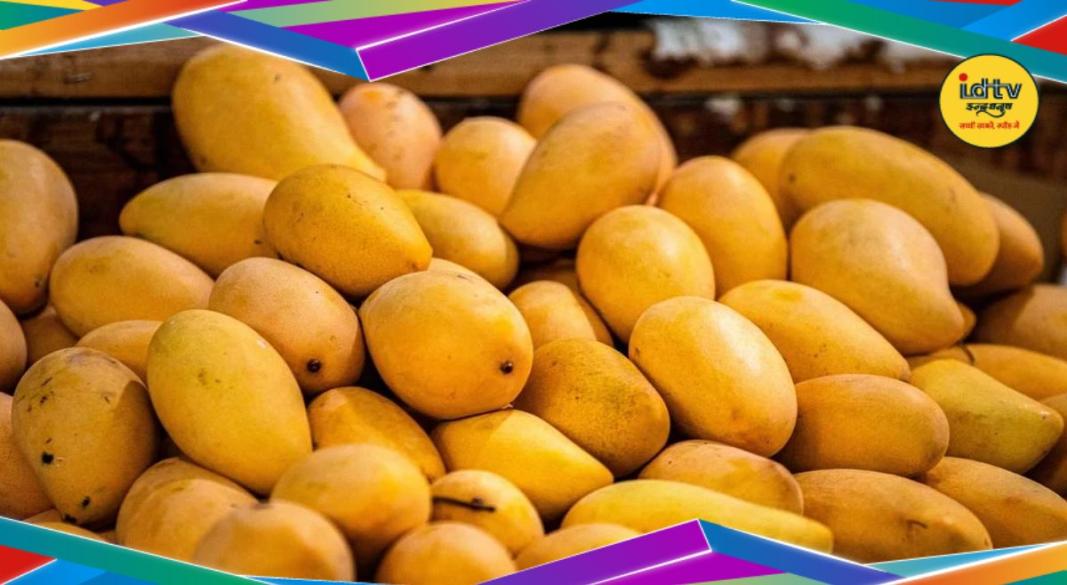 Simdega Mango News