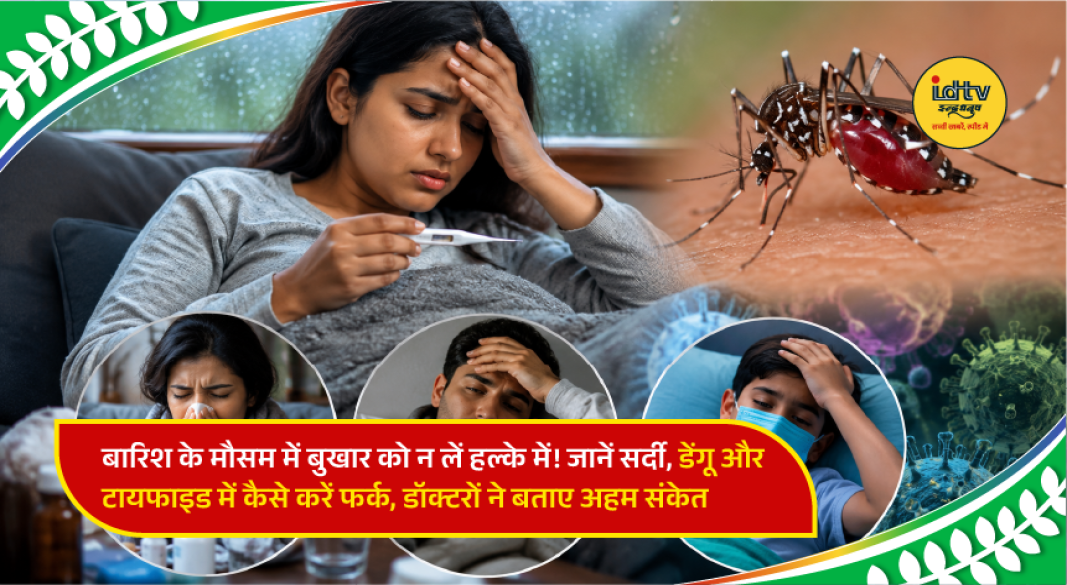 Doctor examining a patient with fever while explaining differences between dengue, typhoid, and seasonal viral infections.