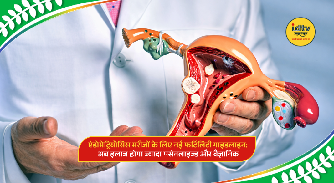 Doctor consulting a woman about endometriosis fertility treatment with medical charts and reproductive system diagram.