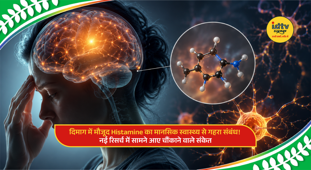 Scientific illustration showing histamine activity in the human brain linked to memory, emotions and mental health disorders.