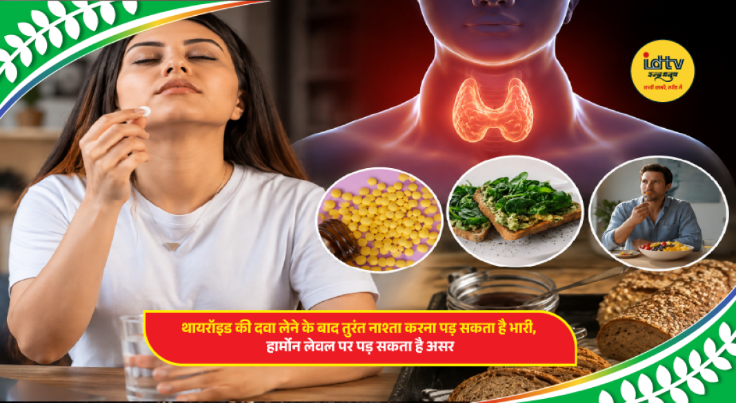 Taking levothyroxine before breakfast helps improve medicine absorption and maintain stable thyroid hormone levels