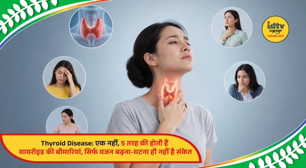 Thyroid gland illustration showing common thyroid diseases and their effects on the human body
