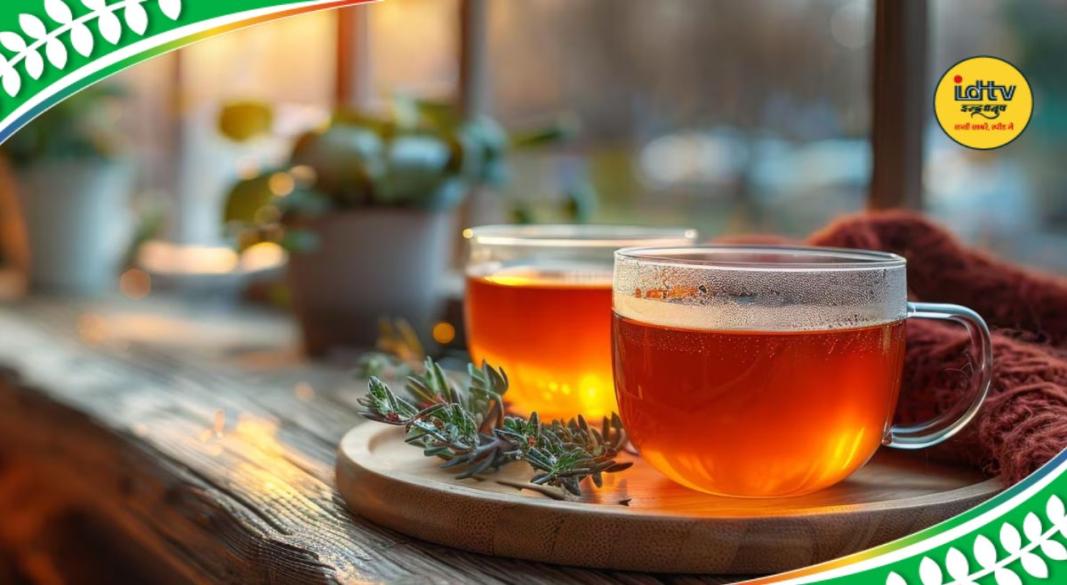 Tulsi Ginger Decoction