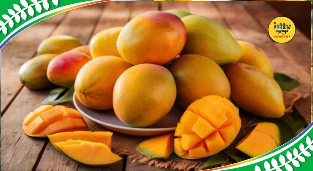 Mango varieties famous