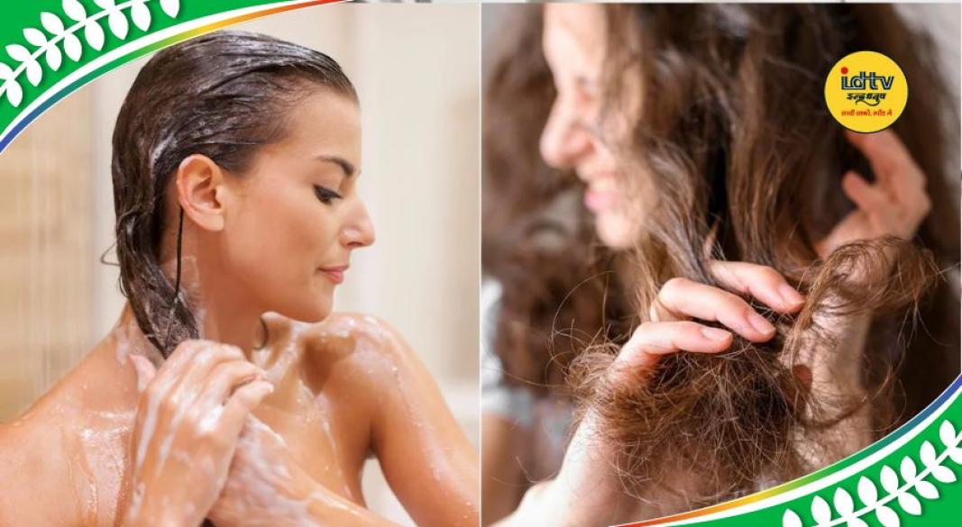 herbal hair care remedy