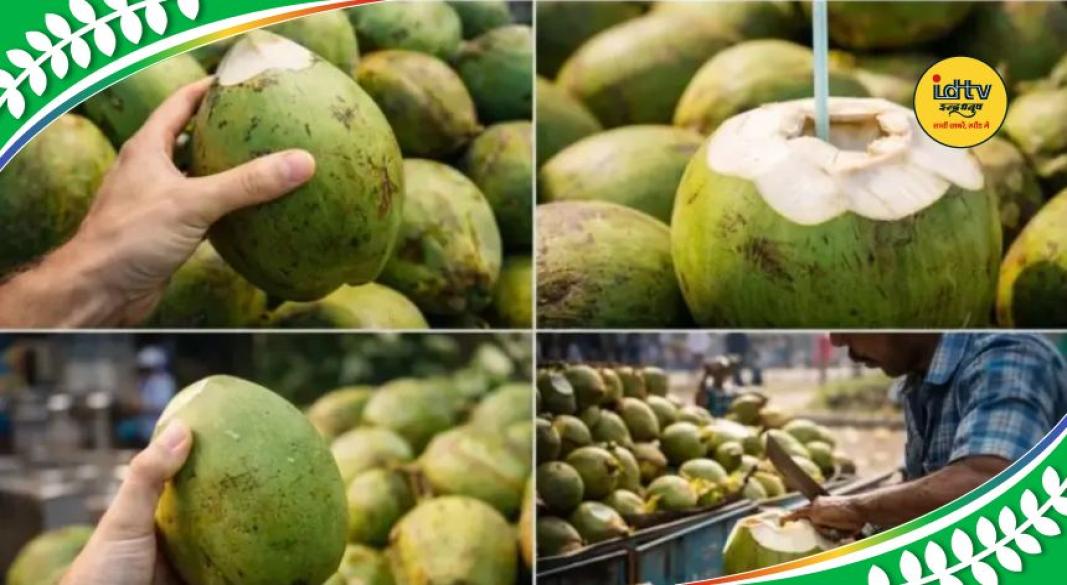 coconut buying tips