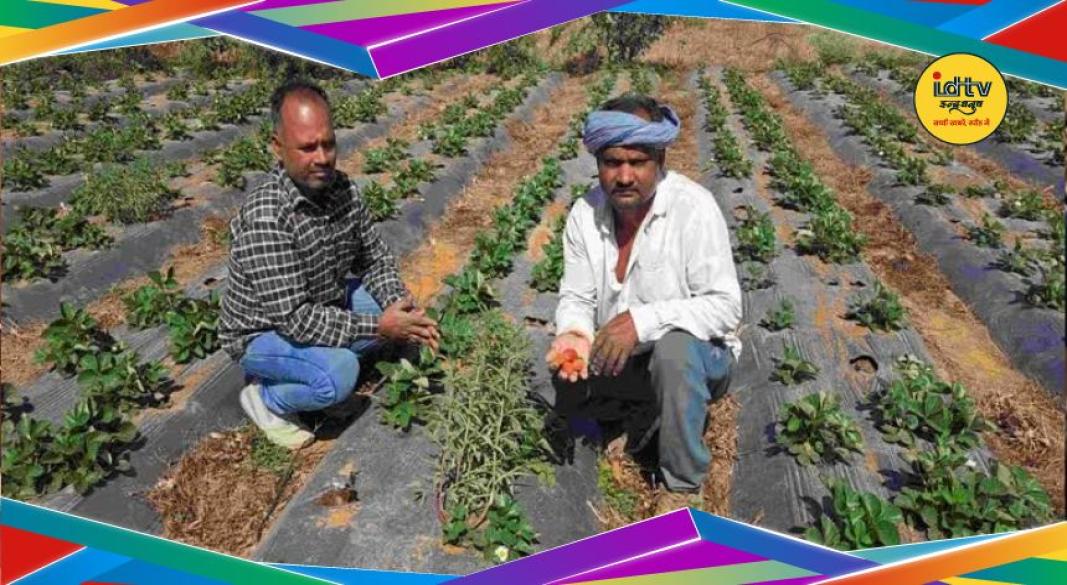 Jharkhand agriculture news