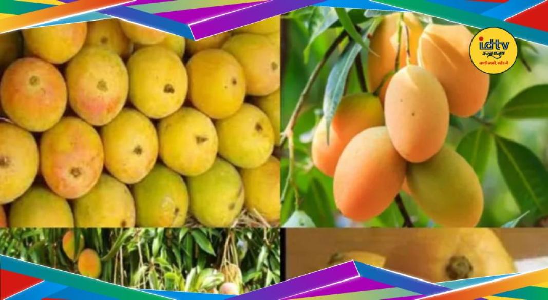 Birsa Harit Gram Yojana