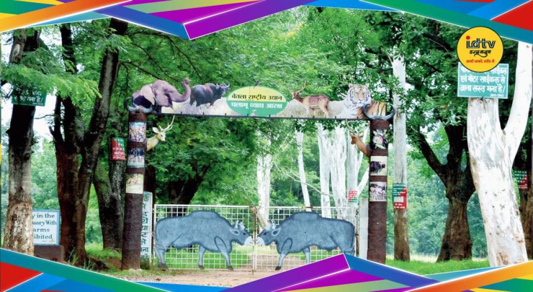 Betla National Park Closure