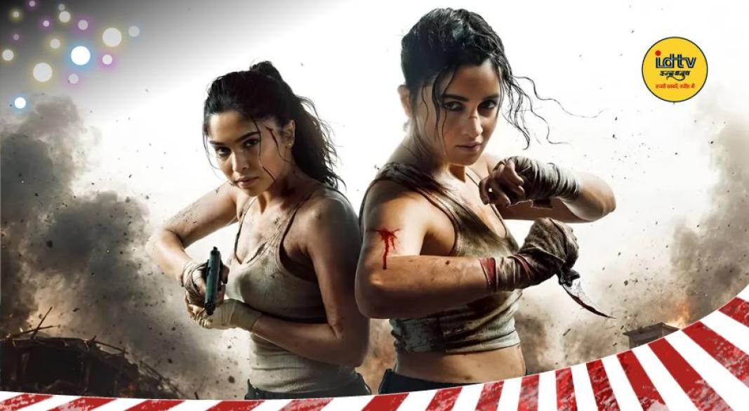 Alpha Box Office