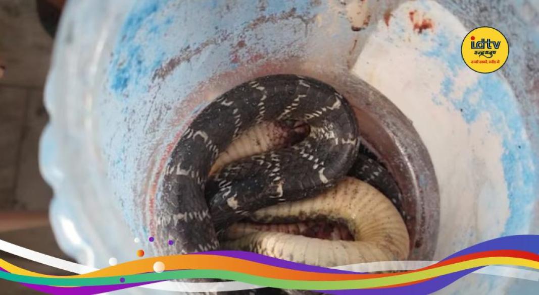 Lohardaga Snakebite Incident