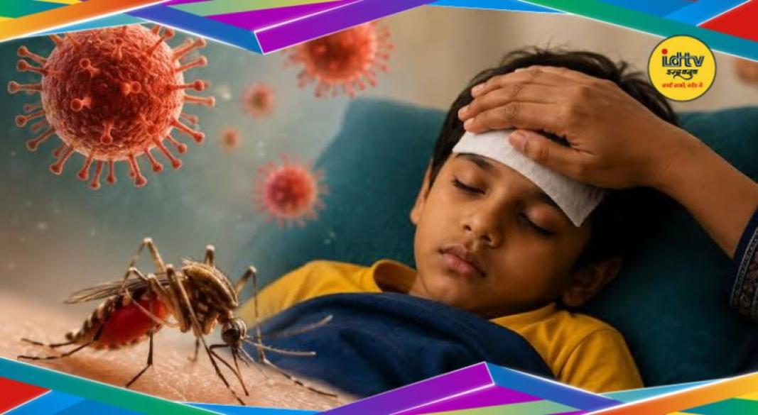 Chandipura Virus Gujarat