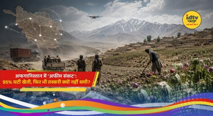 Poppy fields in Afghanistan amid a sharp decline in opium cultivation following the Taliban ban