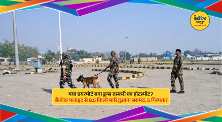 Seized marijuana packets at Gaya Airport with officials inspecting luggage during international drug smuggling crackdown