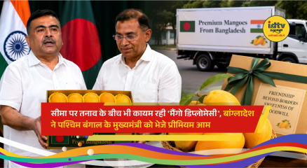 Premium Bangladeshi mangoes arriving at the Bangladesh Deputy High Commission in Kolkata as part of the annual 'Mango Diplomacy' initiative between India and Bangladesh.