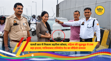 Rescue personnel remove a venomous cobra from inside a car after the driver safely stopped the vehicle on Ghaziabad's Elevated Road.