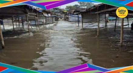 Damodar River