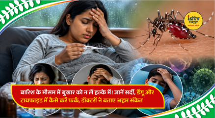 Doctor examining a patient with fever while explaining differences between dengue, typhoid, and seasonal viral infections.