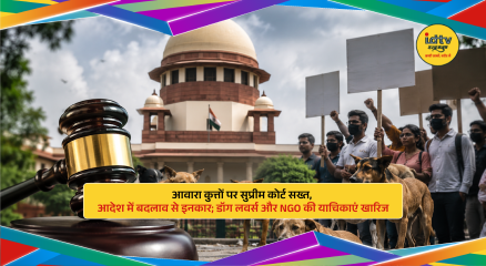 Stray dogs sitting near public roads as Supreme Court issues strict order on dog bite cases.