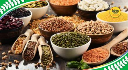 Pulses for muscle growth