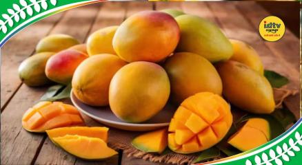 Mango varieties famous