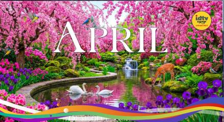 Flower festivals in April