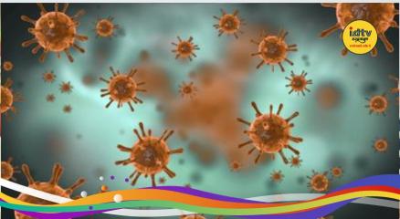 Hantavirus causes and prevention