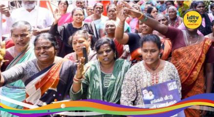 TN language news