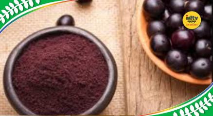 News