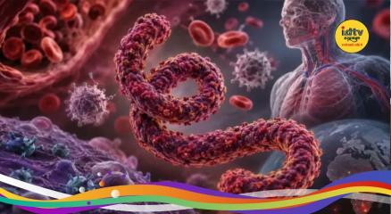 ebola virus