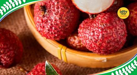 Litchi Health Tips