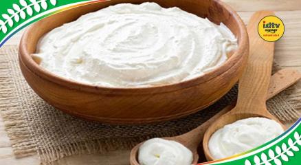 yogurt consumption