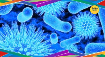 Chandipura Virus