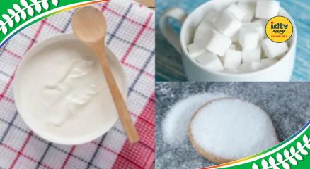 yogurt nutrition tips